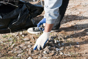 The Effects of Illegal Dumping in the Mojave Desert
