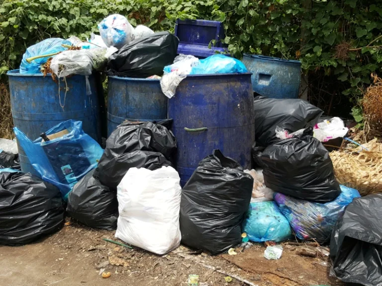 Bagged debris cleared from a property